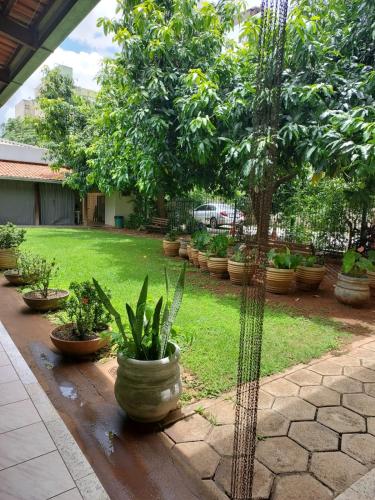 a group of potted plants in a yard at Residencial Joman Goiânia in Goiânia