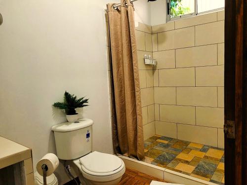 a bathroom with a toilet and a shower with a plant on it at Tico Bed & Breakfast La Fortuna in Fortuna