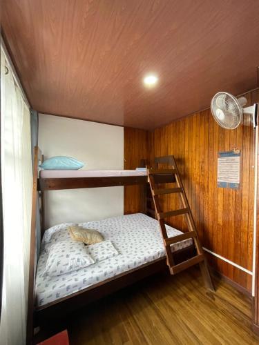 a bunk bed with a ladder in a room at Hostel Casa Mar in Liberia