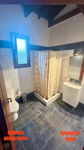 a bathroom with a shower and a toilet and a sink at Xenonas Arxontariki in Mikrón Dhérion