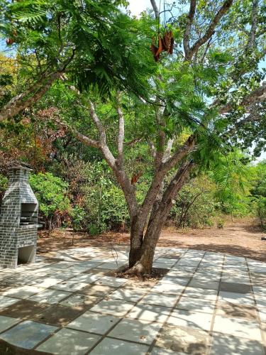 a tree sitting next to a stone walk way at Casa Mobiliada próximo do restaurante Bosque da Serra in Santa Fé
