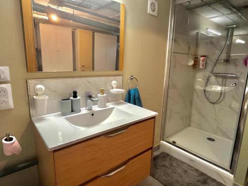 une salle de bain avec un lavabo et une douche dans l'établissement Logement entier, à Bourges