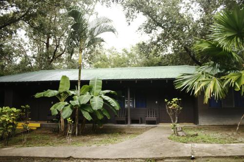 a house with a palm tree in front of it at Cañon de la Vieja Lodge in Liberia
