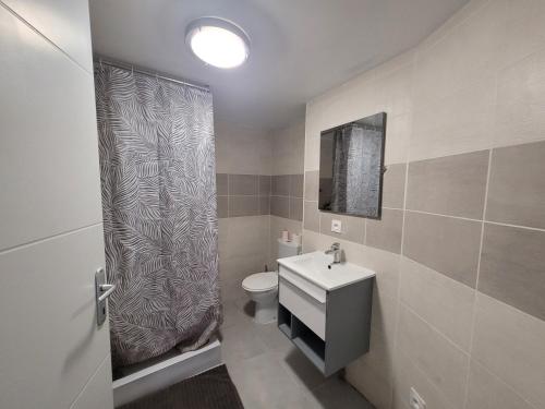 une salle de bain avec toilettes, lavabo et douche dans l'établissement Appartement 2 CHAMBRES meuble a saix 48 m2 avec COUR, à Saix