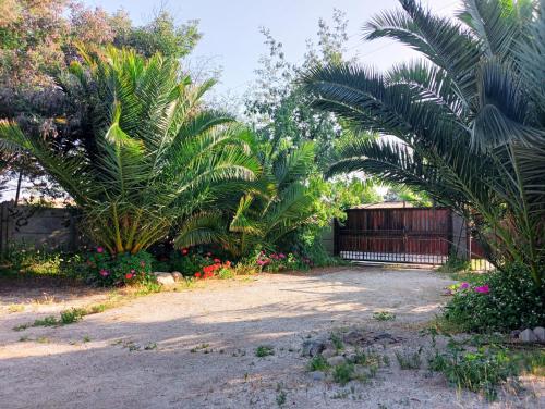 a driveway with palm trees and flowers in a yard at ALME cabañas Olmué in Olmué