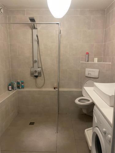 une salle de bain avec douche et toilettes dans l'établissement F2 cosy proche marché de Noël, à Schiltigheim