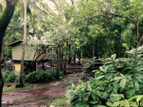 a house in the middle of a forest of trees at Puerto Barillas in Bahia de Jiquilisco
