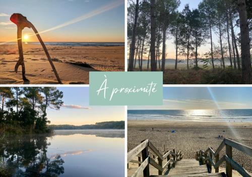 un collage de photos avec une plage et les mots impervisor dans l'établissement Evasion Nature, proxy Océan et forêt, à Messanges