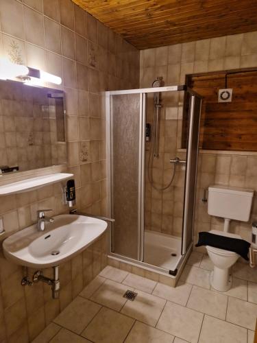 a bathroom with a shower and a sink and a toilet at Garni Bärenwirt in Leutasch