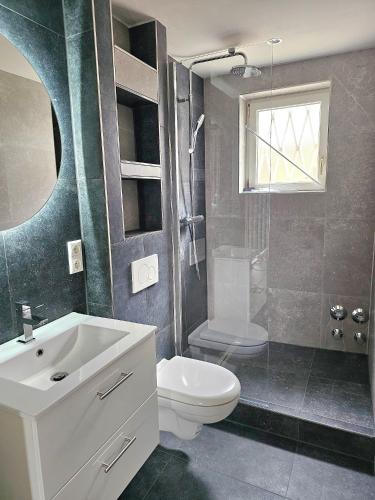 a bathroom with a toilet and a sink and a shower at Sanosueno 5 in Sonthofen