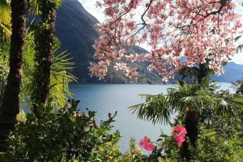 a view of a lake with pink flowers at Barony Le Pergole holiday apartments Lugano in Lugano