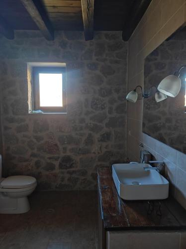 a bathroom with a sink and a toilet and a window at Drymaia Chalet in Amfikleia