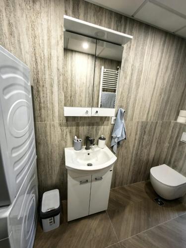 a bathroom with a sink and a toilet and a mirror at Apartman Cetkovic in Belgrade