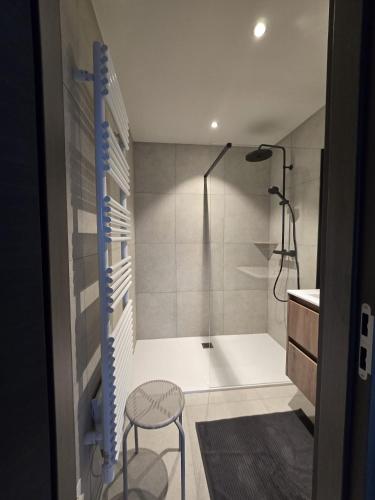 a bathroom with a shower and a stool and a sink at La maison d'Achille in Nassogne