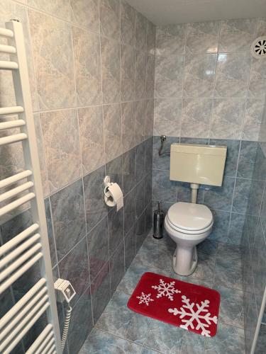 a bathroom with a toilet and a red rug at Kamrca na Kopah in Šmartno pri Slovenj Gradcu