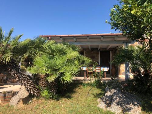 a house with palm trees in front of it at NicChia Turchese in Orosei
