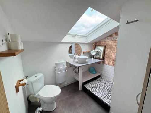 a bathroom with a toilet and a sink with a skylight at Alsace Mountain House in Munster
