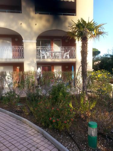 a palm tree in front of a building at bleu marine in Bormes-les-Mimosas