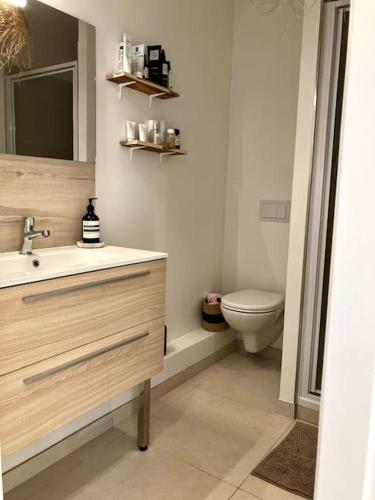 une salle de bain avec un lavabo et des toilettes dans l'établissement Appartment with pool, beach and ocean 5 min by walk, city center, shopping and market, à Vieux-Boucau-les-Bains