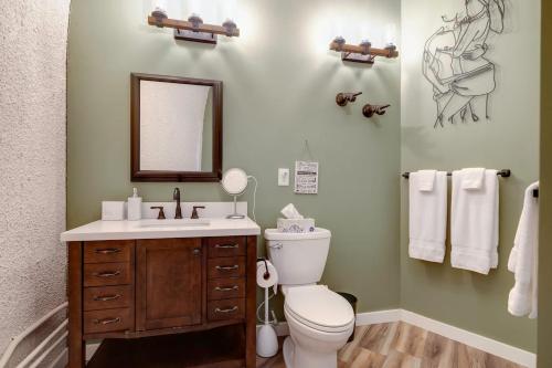 a bathroom with a toilet and a sink and a mirror at Adults Only - Secluded Mountainside Dome Retreat in Stanley