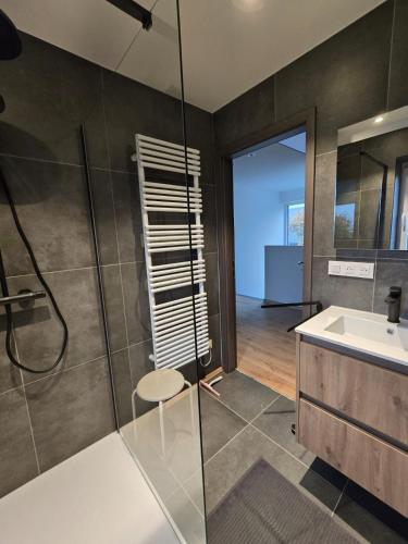 a bathroom with a glass shower and a sink at La maison d'Inès in Nassogne