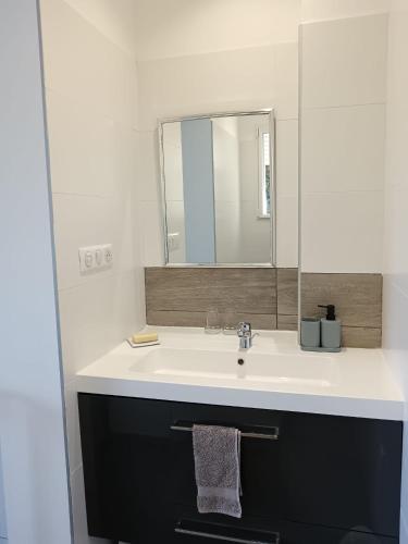 une salle de bain avec un lavabo et un miroir dans l'établissement Villa en Corse du Sud - Golf d'Ajaccio, à Coti-Chiavari