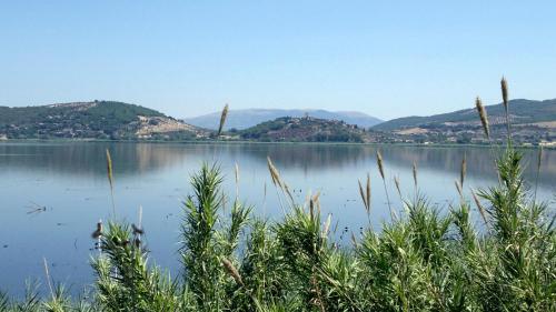Dirindello House Trasimeno – Photos 5