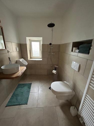 a bathroom with a white toilet and a sink at Ferienhaus am Schloß in Malberg