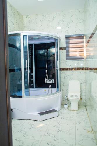 a bathroom with a shower and a toilet at Dej's Luxury Apartment House in Lekki