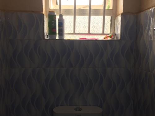 a bathroom with a toilet in front of a window at Mary Apartments in Mbale