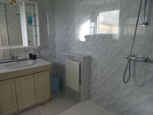 une salle de bain avec douche et lavabo dans l'établissement Gite Chez Picou, à La Tour-dʼAuvergne