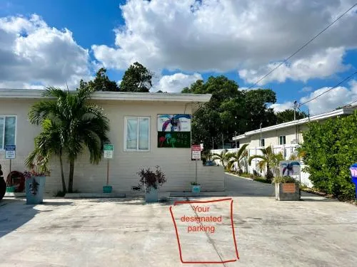 Stunning Little Havana Close to Airport, Calle Ocho, Brickell, Cruises,Wynwood and the Beaches - Free Parking photo 41