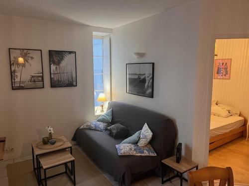 un salon avec un canapé et un lit dans l'établissement Manon, 2 pièces, Wifi, coeur historique, calme, central, à La Rochelle