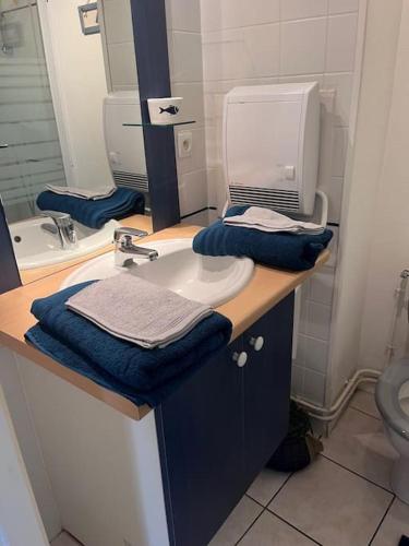 une salle de bain avec un lavabo et un miroir dans l'établissement Manon, 2 pièces, Wifi, coeur historique, calme, central, à La Rochelle