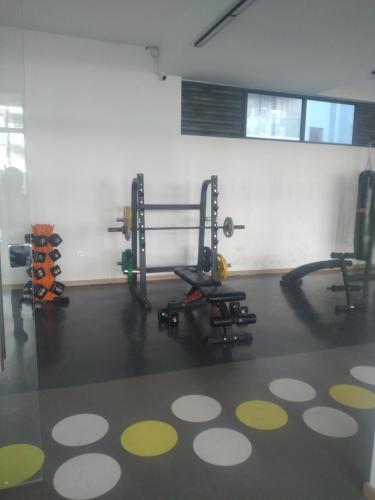 Fitness centrum a/nebo fitness zařízení v ubytování Indesign makumbi Apartment