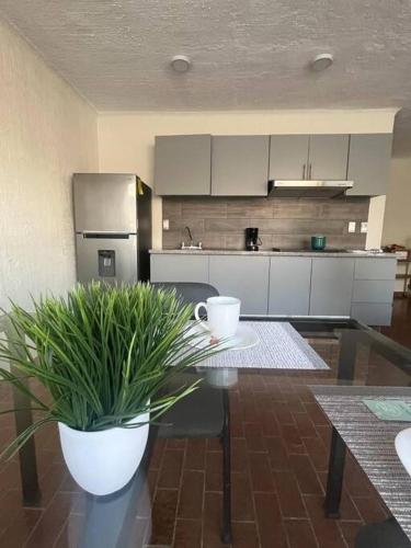 Kuchyň nebo kuchyňský kout v ubytování Morelos 67 Apartment