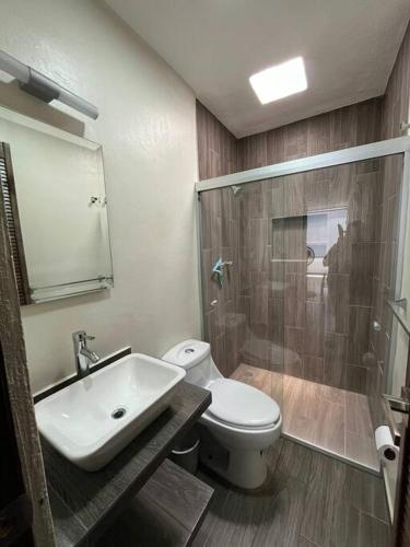a bathroom with a toilet and a sink and a shower at Morelos 67 Apartment in La Piedad Cavadas