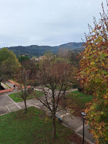 Deux arbres dans un parc avec vue dans l'établissement Studio Curistes et Touristes, à Lamalou-les-Bains