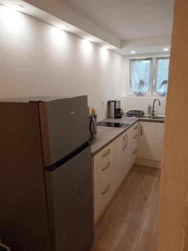 La cuisine est équipée d'un réfrigérateur et d'un évier. dans l'établissement Appartement cosy, à Salindres