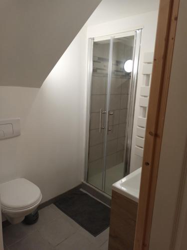 une salle de bain avec une douche, des toilettes et un lavabo dans l'établissement Appartement cosy, à Salindres