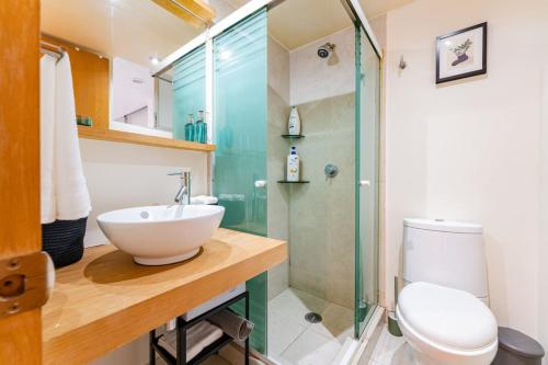 een badkamer met een wastafel, een toilet en een douche bij Brick apartment two blocks from plaza Rio de Janeiro Roma in Mexico-Stad