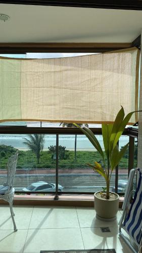 a plant sitting on a table in front of a window at Luxor Paulo Miranda Frente ao mar in João Pessoa