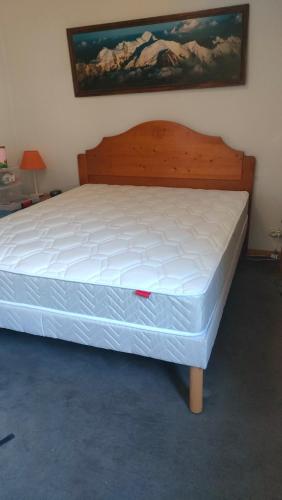 charmant appartement 2-4 personnes coeur de chamonix photo 17