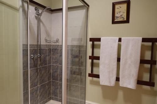 a bathroom with a shower with a glass door at Waterfront Casilda Guesthouse in Dunalley