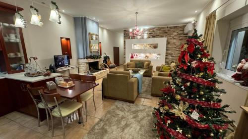 Posezení v ubytování Villa Gomfoi Trikala - Smart Town BnB