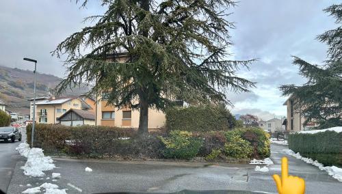 a street with a tree and a house with snow at Full Sun Lodge in Vétroz