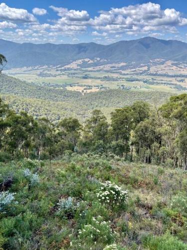 a view of a field with trees and mountains at White Rabbit Mountain Guest House in Mount Beauty