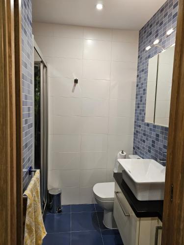 a bathroom with a white toilet and a sink at Casa Rios in Redondela