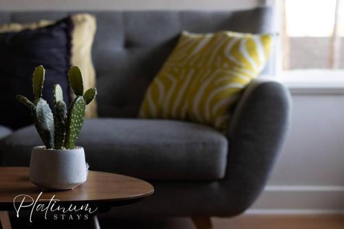 a plant sitting on a table next to a couch at Luxury On Webster Upscale 2br Close To Hospital in Wendouree