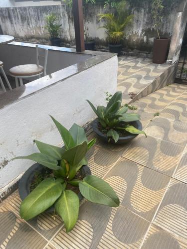 two plants in pots sitting on a patio at Pousada da Vânia in Vespasiano
